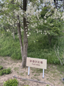 鳥取砂丘 砂遊び広場